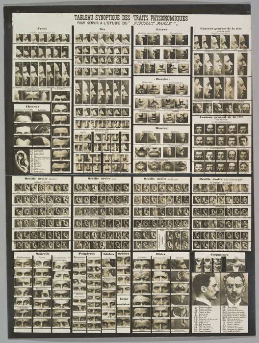 A printed chart of photographed eyes, noses, ears and profiles, each cut out and arranged in labelled rows.